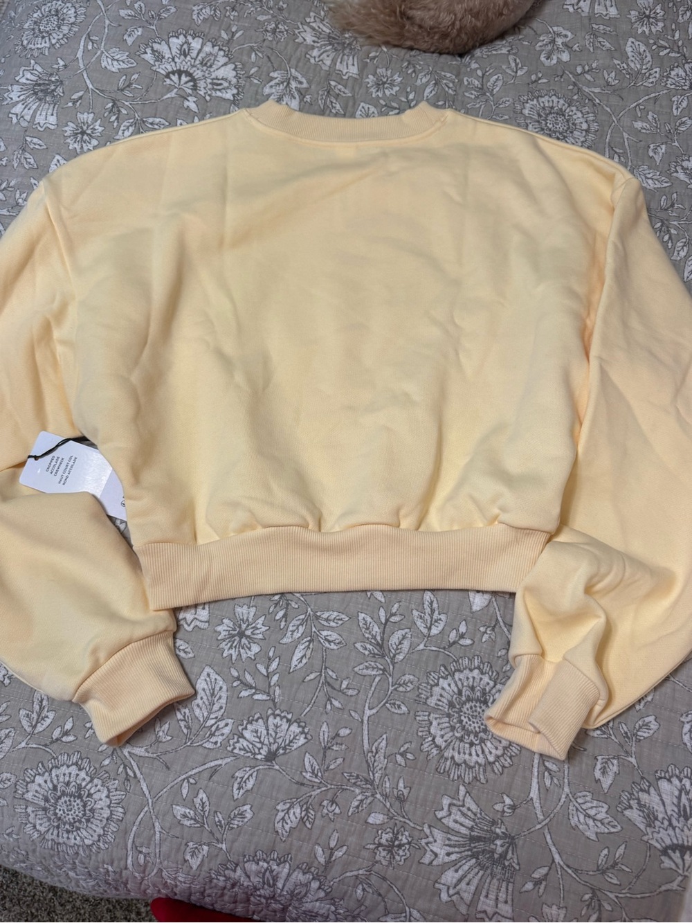 ALO candlelight yellow Yoga CROPPED Accolade crewneck - Picture 7 of 11
